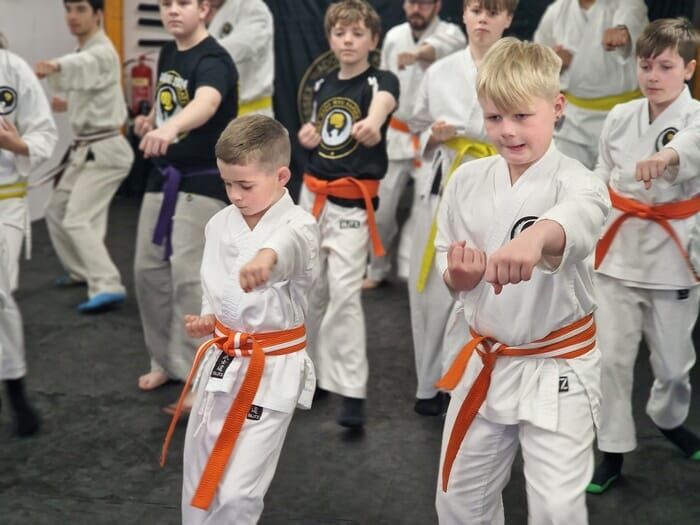 What to expect in our Beginners Karate Programme?